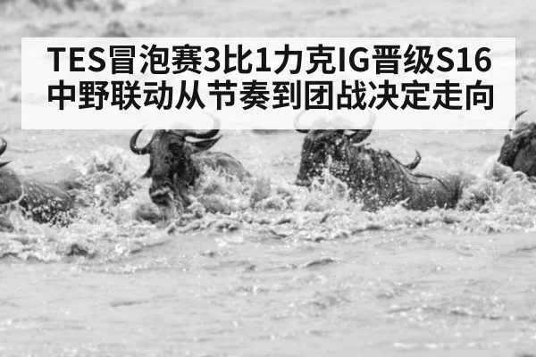 TES冒泡赛3比1力克IG晋级S16 中野联动从节奏到团战决定走向