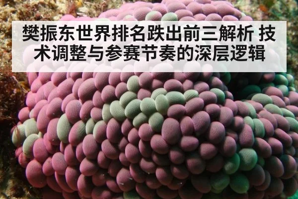 樊振东世界排名跌出前三解析 技术调整与参赛节奏的深层逻辑